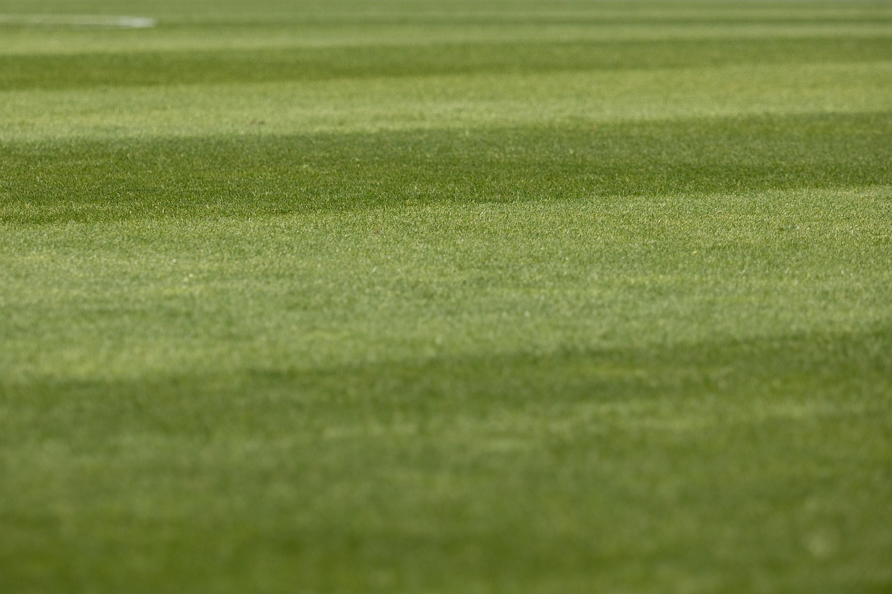 préparez efficacement votre présentation pour investisseurs avec des conseils pratiques et des stratégies clés afin de maximiser vos chances de succès lors de votre pitch.