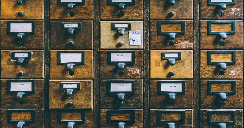 Lettres découpées, vitrophanie, véhicules : les trois chantiers qui reviennent