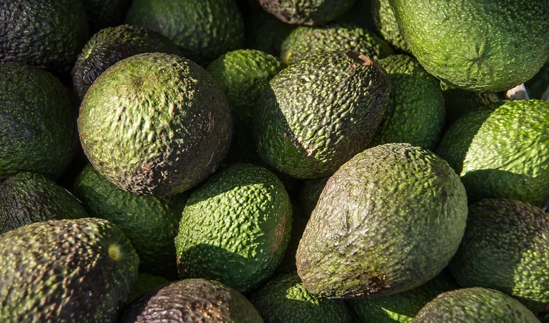 Comment choisir son avocat maritime ?